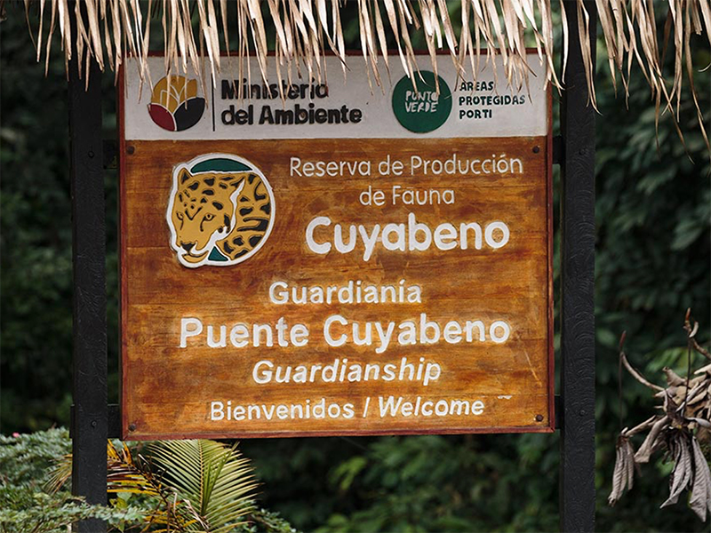 Amazonia Parque Cuyabeno